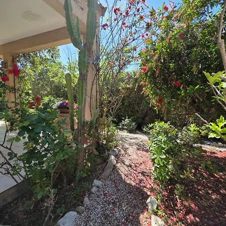 Maison 3 Pieces 6 Couchages Villa Lumio (Corsica)